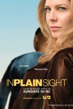 in plain sight tv poster